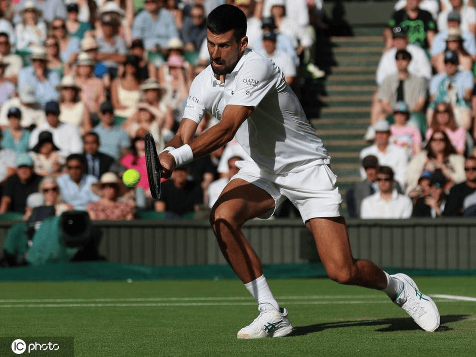 温网力克蒙特卡洛大师赛，德约科维奇统治全场